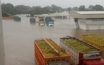 TRANSPORTISTA REGISTRAN PERDIDAS MILLONARIAS…UNIDADES Y FRUTAS  BAJO EL AGUA