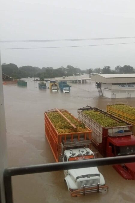 TRANSPORTISTA REGISTRAN PERDIDAS MILLONARIAS…UNIDADES Y FRUTAS  BAJO EL AGUA