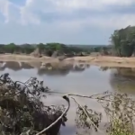 RÍO PANTEPEC AFECTADO POR DERRAME DE HIDROCARBURO (VIDEO)