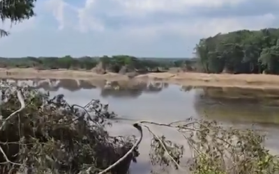 RÍO PANTEPEC AFECTADO POR DERRAME DE HIDROCARBURO (VIDEO)