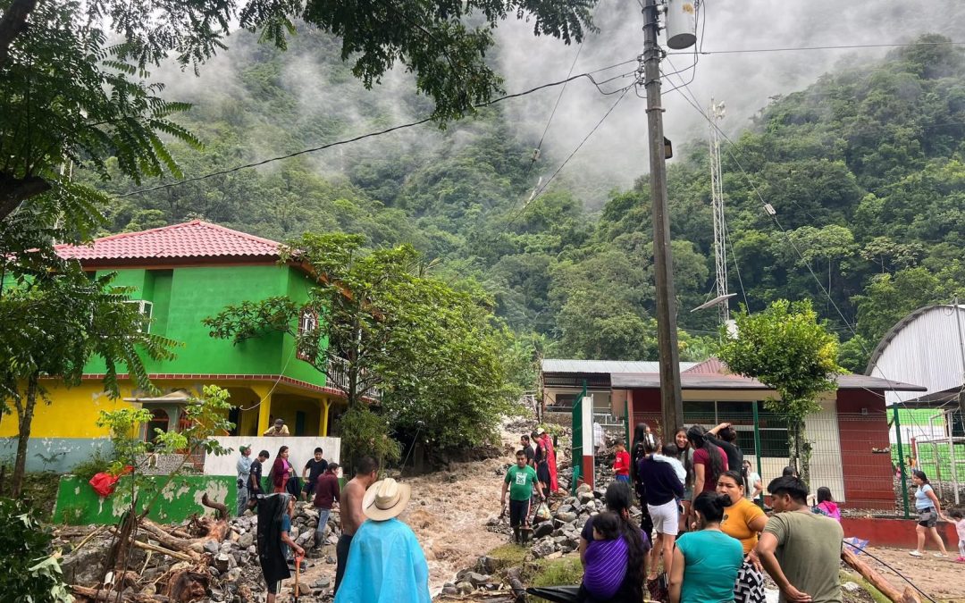 DESAPERCE COMUNIDAD DE XALTIPA PERTENECIENTE AL MUNICIPIO DE ILAMATLAN (VIDEO)