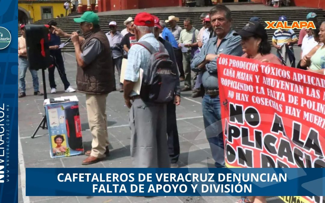 CAFETALEROS DE VERACRUZ DENUNCIA FALTA DE APOYO Y DIVISIÓN A DOS MESES DE INICIAR LA COSECHA 2025-2026