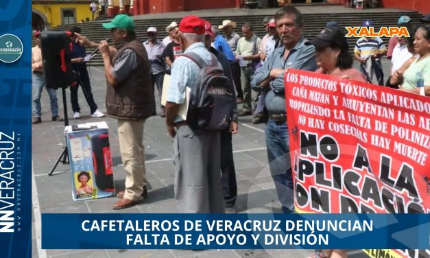CAFETALEROS DE VERACRUZ DENUNCIA FALTA DE APOYO Y DIVISIÓN A DOS MESES DE INICIAR LA COSECHA 2025-2026