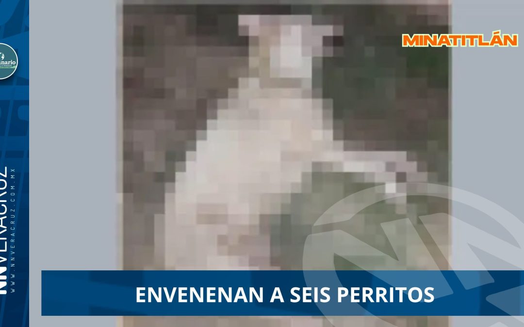 Indignación en Minatitlán: envenenan a seis perritos 
