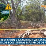  LA SELVA DE LOS TUXTLAS AGONIZA: DEFORESTACIÓN Y ABANDONO ARRASAN CON UNO DE LOS ECOSISTEMAS MÁS RICOS DE MÉXICO