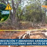  LA SELVA DE LOS TUXTLAS AGONIZA: DEFORESTACIÓN Y ABANDONO ARRASAN CON UNO DE LOS ECOSISTEMAS MÁS RICOS DE MÉXICO
