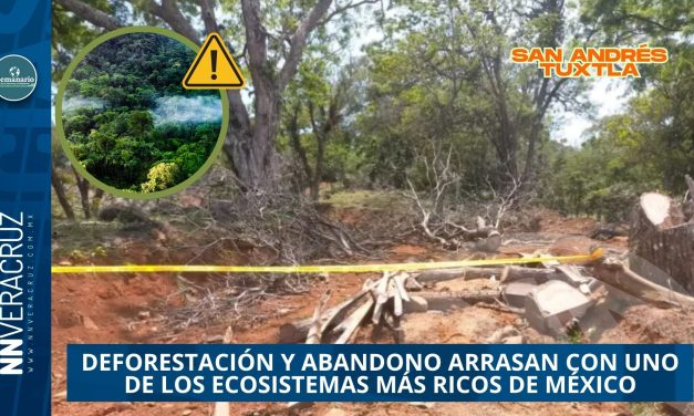  LA SELVA DE LOS TUXTLAS AGONIZA: DEFORESTACIÓN Y ABANDONO ARRASAN CON UNO DE LOS ECOSISTEMAS MÁS RICOS DE MÉXICO