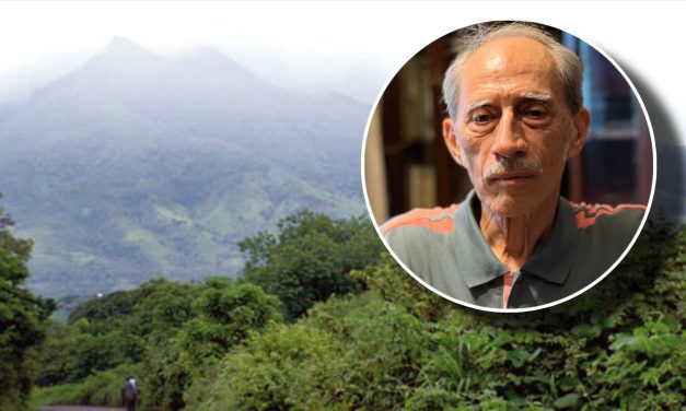 🥦SE EXTINGUE LA RESERVA DE LA BIOSFERA DE LOS TUXTLAS; DEFORESTACIÓN SIGUE LATENTE