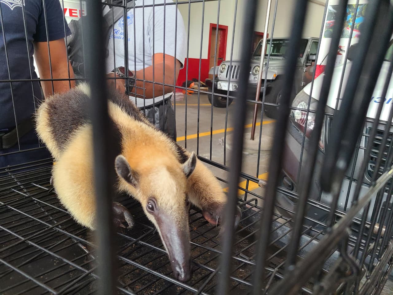 be04b3a1-beb9-4943-9cad-0a91e77ff964