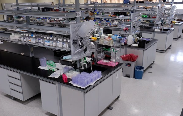 Científicos en EE. UU. acceden a datos sensibles del Gobierno mexicano sin encriptar con solo una antena parabólica y una tarjeta de televisión