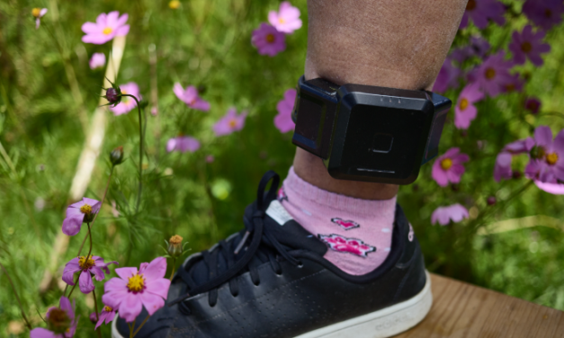 El Estado contra María Guadalupe Martínez: la mujer otomí que enfrenta 50 años de prisión en el Estado de México