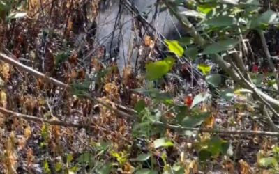 Peligro en Cotaxtla por derrame de combustible: autoridades activan protocolo de emergencia