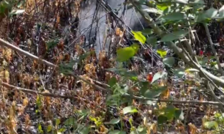 Peligro en Cotaxtla por derrame de combustible: autoridades activan protocolo de emergencia