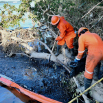 La huella del derrame de Pemex agudiza la emergencia en comunidades de Veracruz