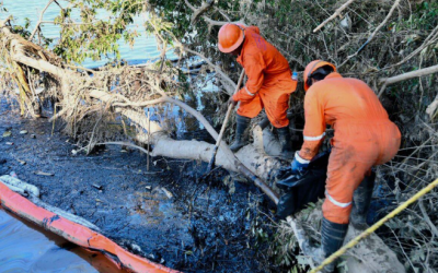 La huella del derrame de Pemex agudiza la emergencia en comunidades de Veracruz