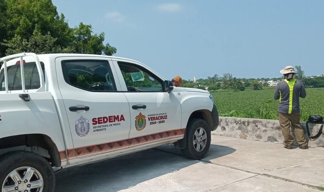 DENUNCIAN A FUNCIONARIO DE SEDEMA POR PRESUNTO ACOSO SEXUAL