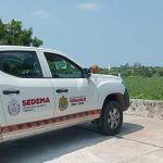 DENUNCIAN A FUNCIONARIO DE SEDEMA POR PRESUNTO ACOSO SEXUAL