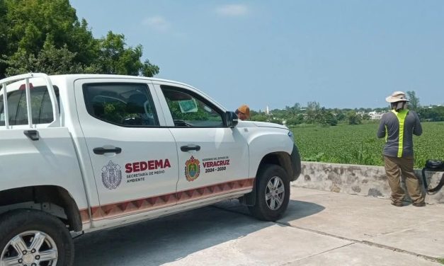 DENUNCIAN A FUNCIONARIO DE SEDEMA POR PRESUNTO ACOSO SEXUAL