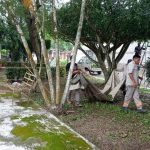 MEJORAMIENTO DE LA IMAGEN URBANA DE SAN ANDRES TUXTLA