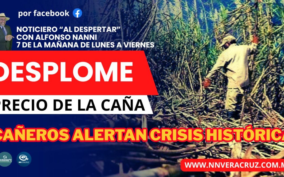 CAÑEROS ALERTAN CRISIS HISTÓRICA POR DESPLOME DE PRECIOS Y SOBREOFERTA DE AZÚCAR