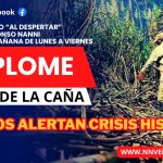 CAÑEROS ALERTAN CRISIS HISTÓRICA POR DESPLOME DE PRECIOS Y SOBREOFERTA DE AZÚCAR