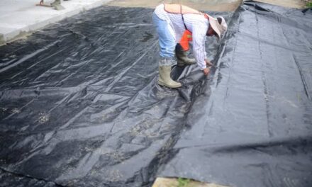 Hoy, la gobernadora Rocío Nahle, supervisó el avance en la rehabilitación de la carretera Tezonapa – Motzorongo