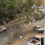 Un vehículo deportivo terminó sobre la jardinera central