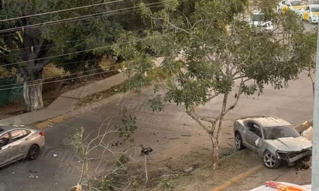 Un vehículo deportivo terminó sobre la jardinera central