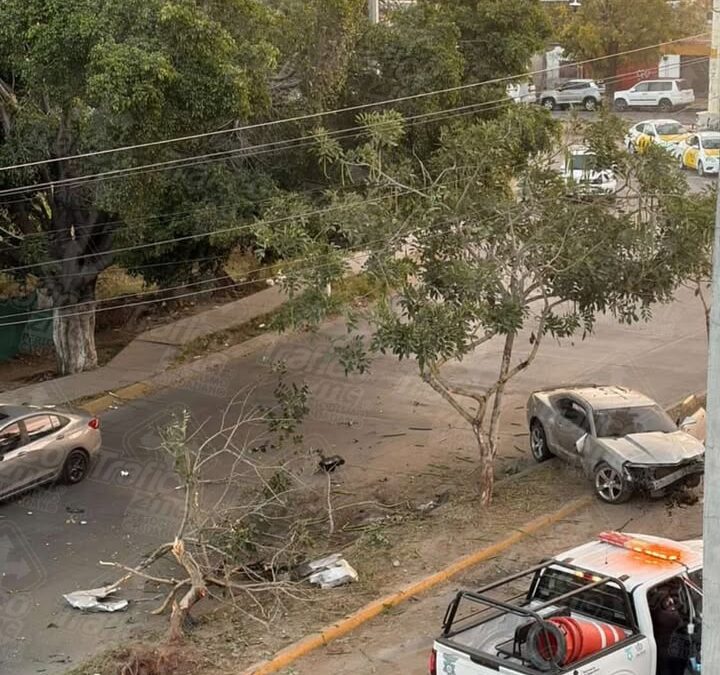 Un vehículo deportivo terminó sobre la jardinera central