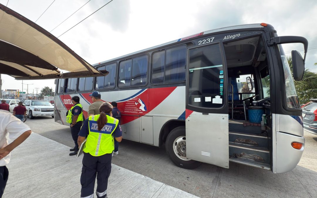 Persona de la tercera edad pierde la vida tras ser arrollado por autobús de pasaje en colonia Veracruz puerto