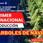 VERACRUZ PRIMER LUGAR NACIONAL EN LA PRODUCCION DE ARBOLES DE NAVIDAD