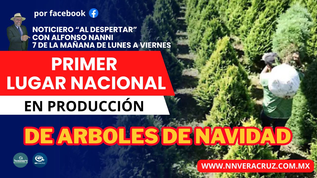 SAN ANDRES TUXTLA (2)