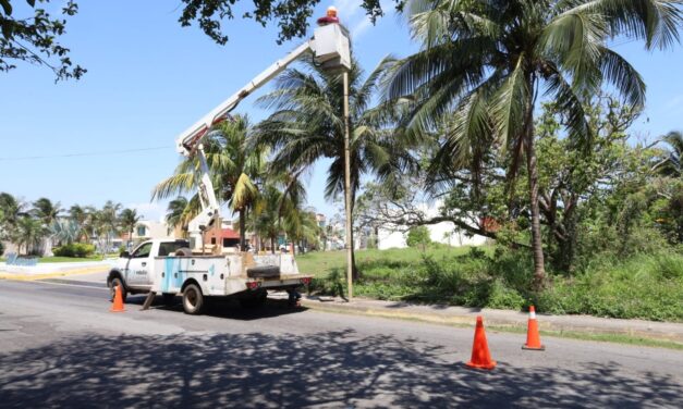 Acciones permanentes en iluminación pública