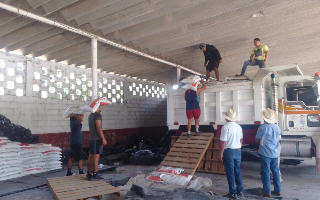 Impulso directo al campo de Medellín de Bravo