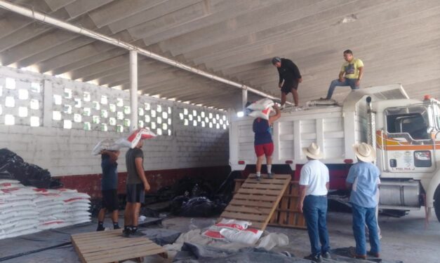 Impulso directo al campo de Medellín de Bravo