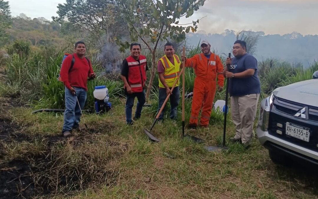 Protección Civil sofoca incendio de pastizal en la calle Tepetapan