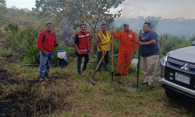 Protección Civil sofoca incendio de pastizal en la calle Tepetapan
