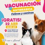 ¡Protege a quienes te dan amor todos los días!