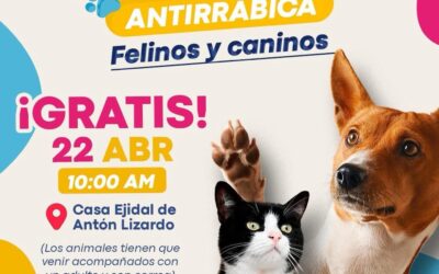 ¡Protege a quienes te dan amor todos los días!