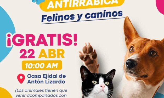 ¡Protege a quienes te dan amor todos los días!