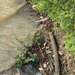 PC DE CAZONES REVISA MORTANDAD DE PECES EN RIOS