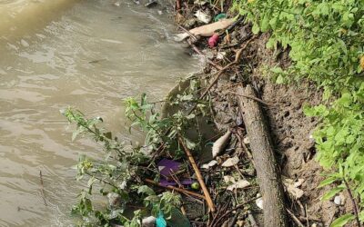 PC DE CAZONES REVISA MORTANDAD DE PECES EN RIOS