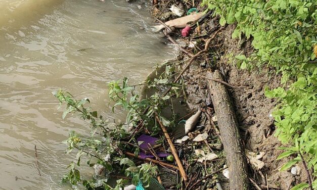 PC DE CAZONES REVISA MORTANDAD DE PECES EN RIOS