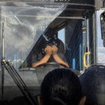 CON EL ALMA DESTROZADA, CONDUCTOR DE RUTA 106 ROMPE EN LLANTO