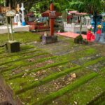 HISTORICO CENSO DE TUMBAS EN COATZACOALCOS