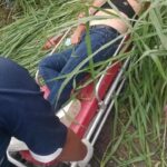 LOCALIZAN A MUJER GOLPEADA Y LESIONADA CERCA DE LA AUTOPISTA