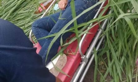 LOCALIZAN A MUJER GOLPEADA Y LESIONADA CERCA DE LA AUTOPISTA