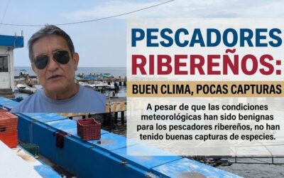 PESCADORES REPORTAN BUEN TIEMPO, PERO CAPTURA DE ESPECIALES REGULAR