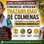 EN VERACRUZ SE BLINDAN A LAS ABEJAS COMO INGENIERAS AMBIENTALES