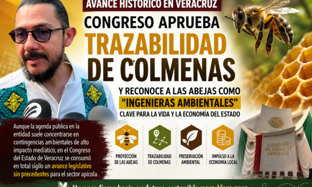 EN VERACRUZ SE BLINDAN A LAS ABEJAS COMO INGENIERAS AMBIENTALES